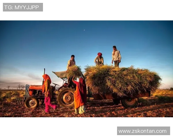 哥伦布与伐木者的对决：探索与自然的碰撞与启示